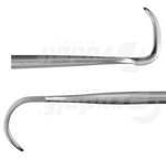 RU 4438-17 / Thymus Hook Lukens, 17 cm